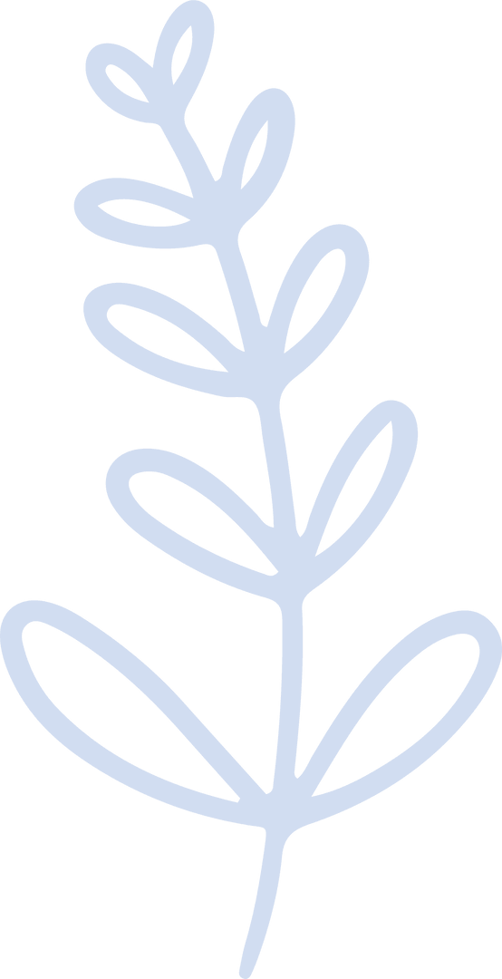 Minimalist Botanical Branch Illustration on Transparent Background