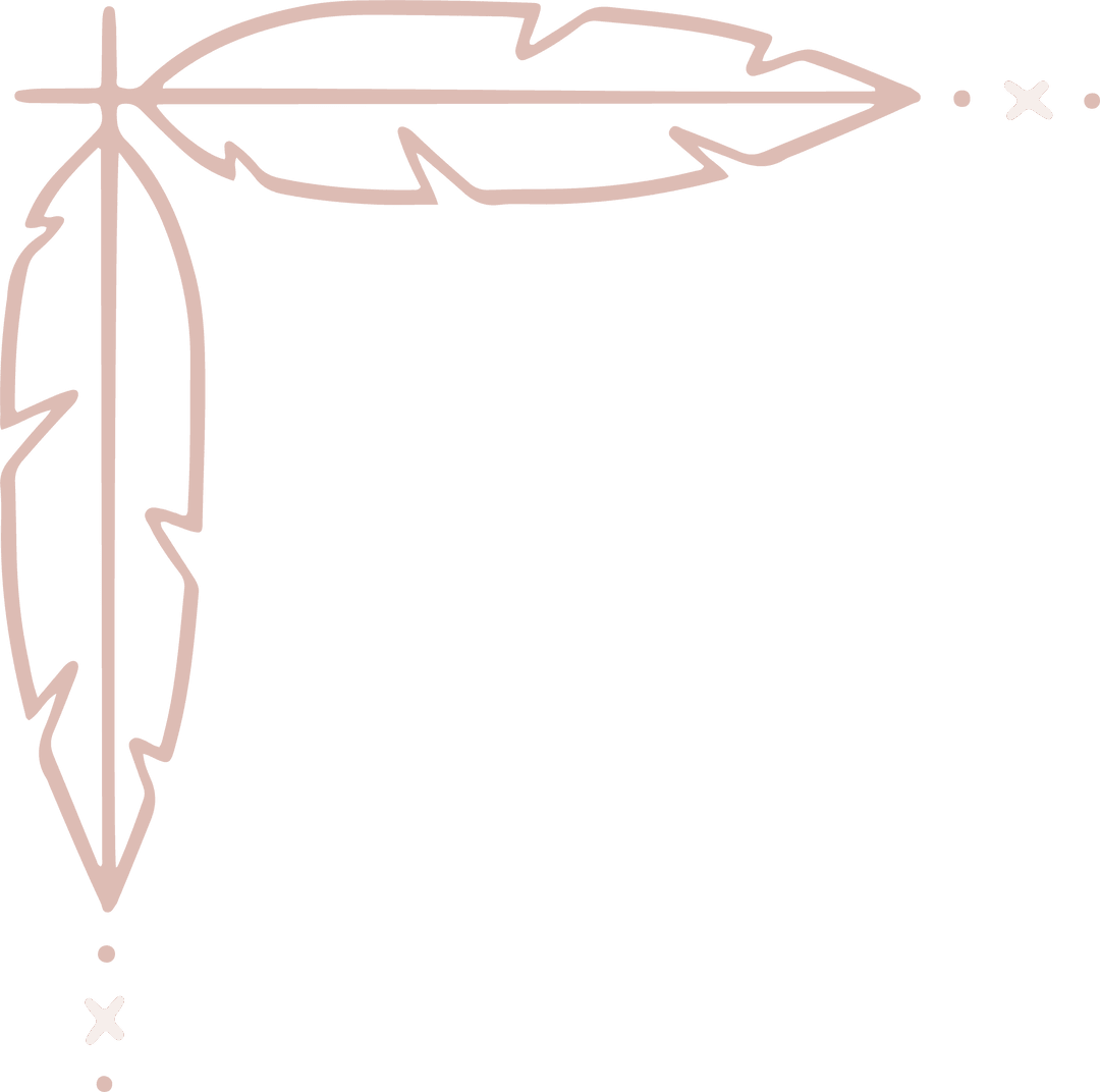 Transparent Feather Ornament Corner Design with Minimalist Style