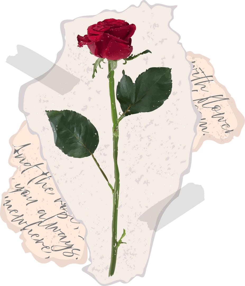 Floating Red Rose Collage on Transparent Background