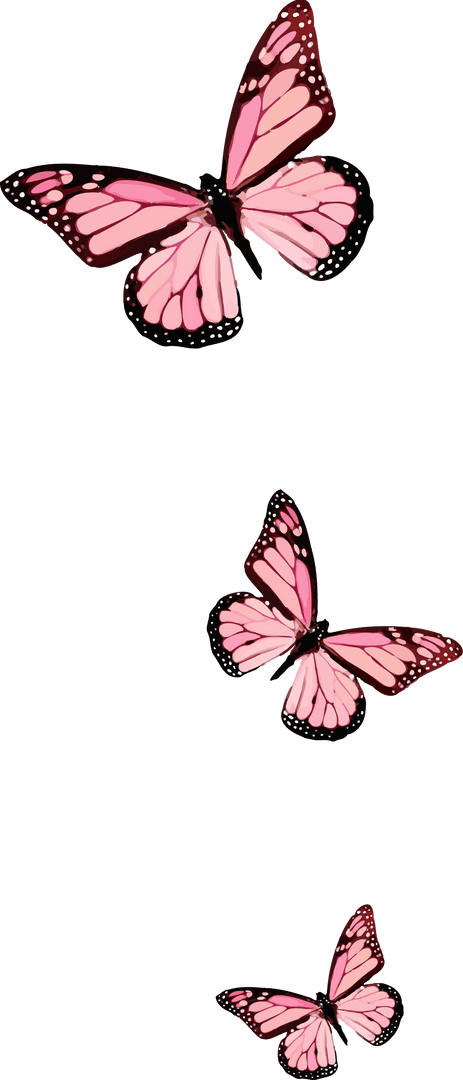 Pink Butterflies Floating Elegantly on Transparent Background