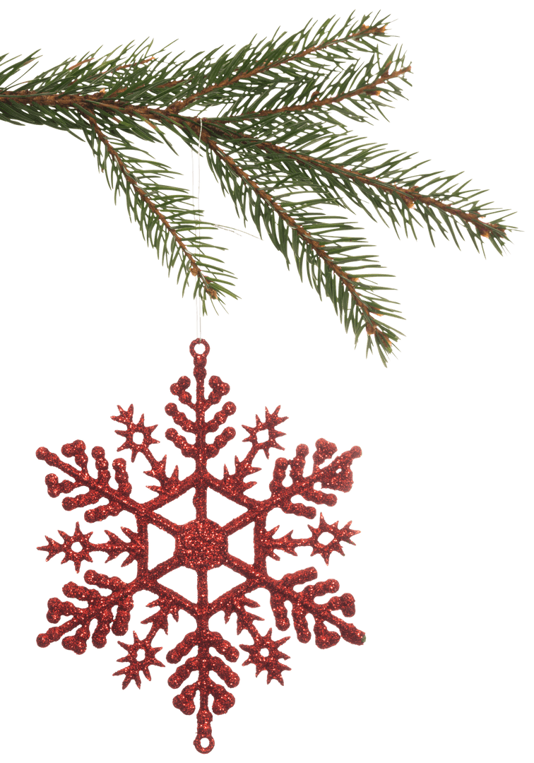 Transparent Red Christmas Ornament Hanging on Pine Branch