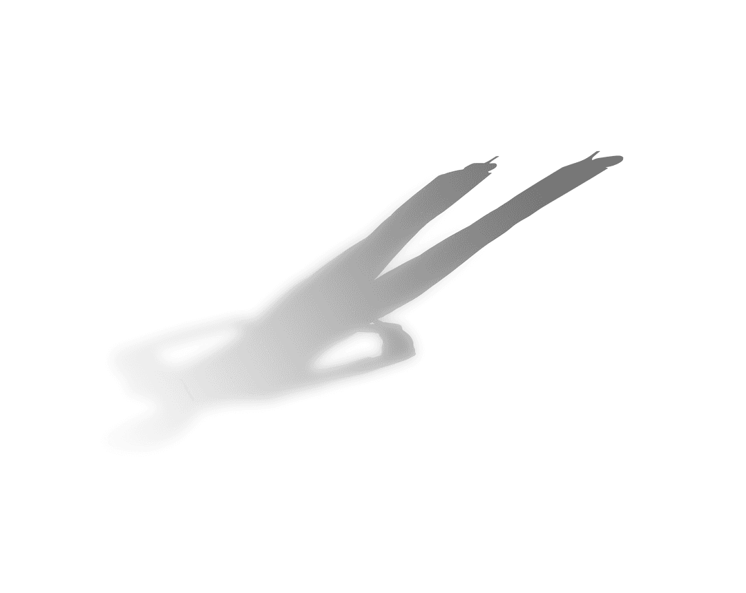 Mystical Female Silhouette Shadow on Transparent Background