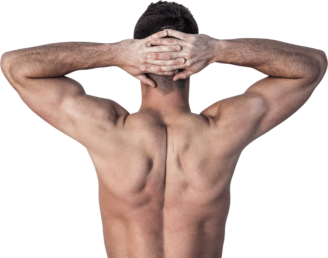 Transparent Muscular Man Flexing Back Strength Visible