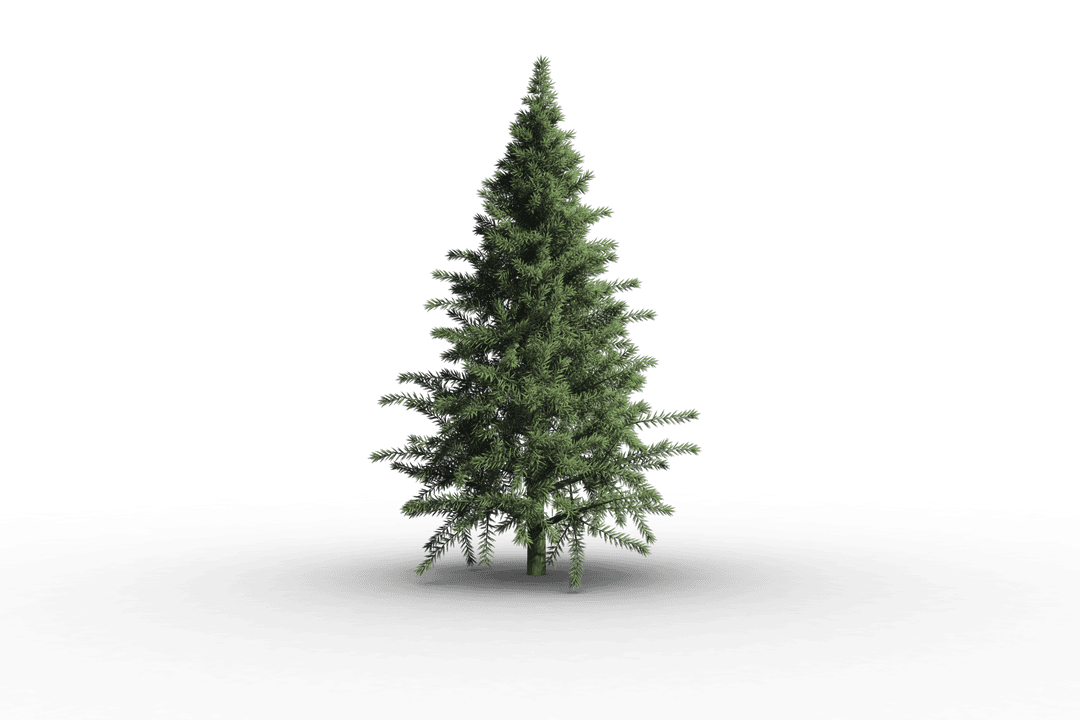 Transparent PNG Illustration of Festive Christmas Tree