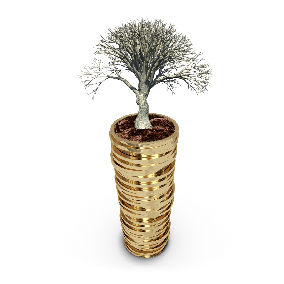 Tree Growing on Gold Coins Stack - Transparent PNG for Finance Concept - Download Free Stock Images Pikwizard.com