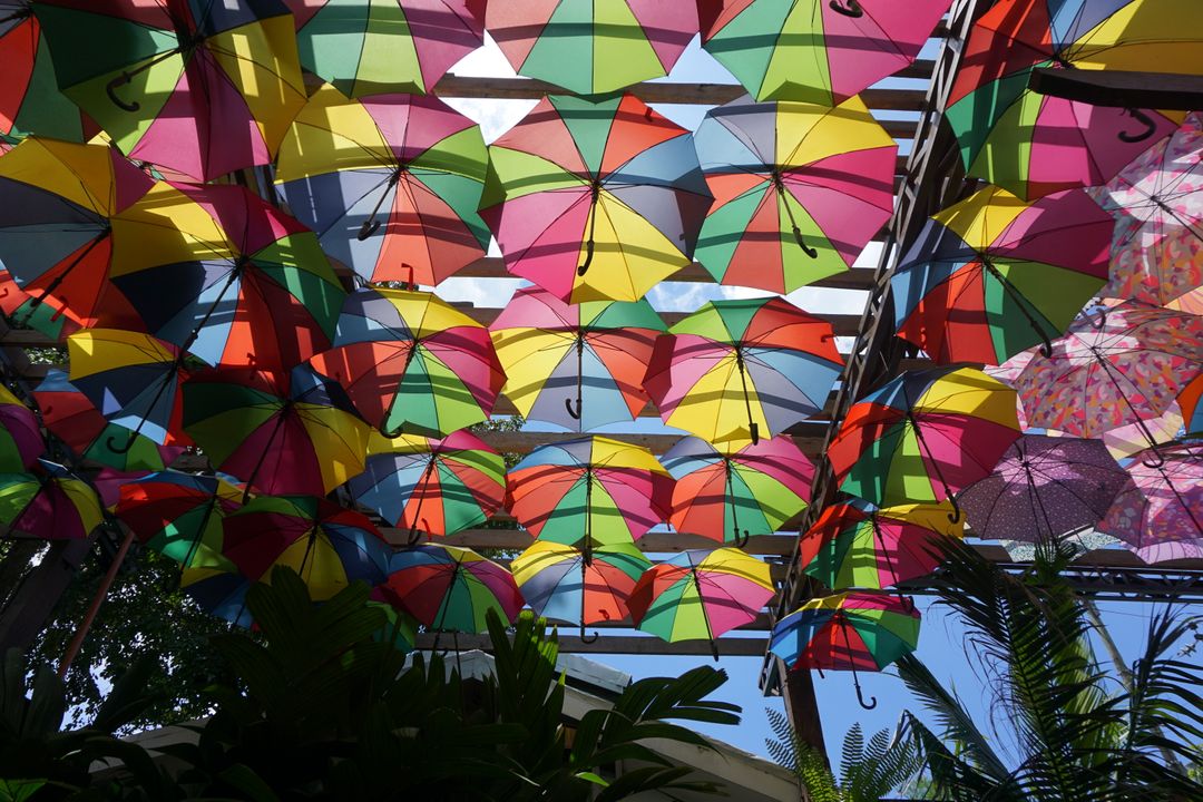 Colorful Umbrellas Hanging in Pattern Vibrant Outdoor Decor - Free Images, Stock Photos and Pictures on Pikwizard.com