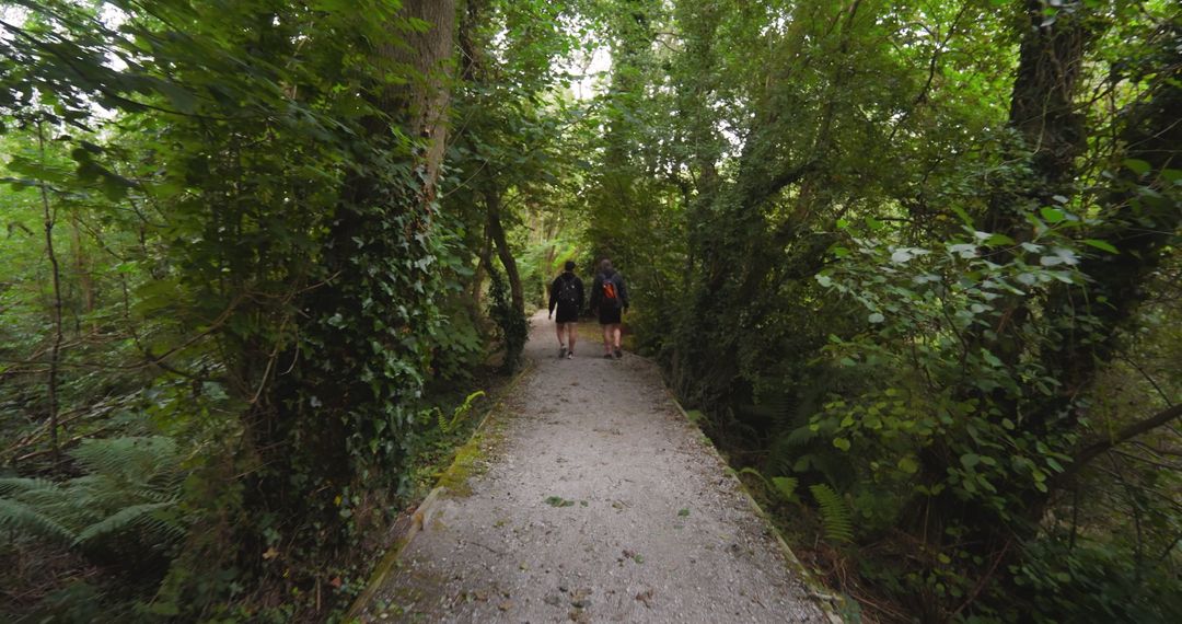 Two Joggers on Forest Path in Vibrant Greenery