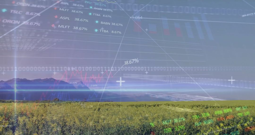Digital Interface with Stock Market Data Over Agricultural Field