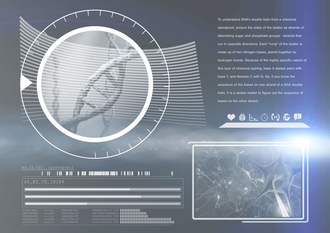 Transparent Digital Illustration of DNA Summary Screen Display