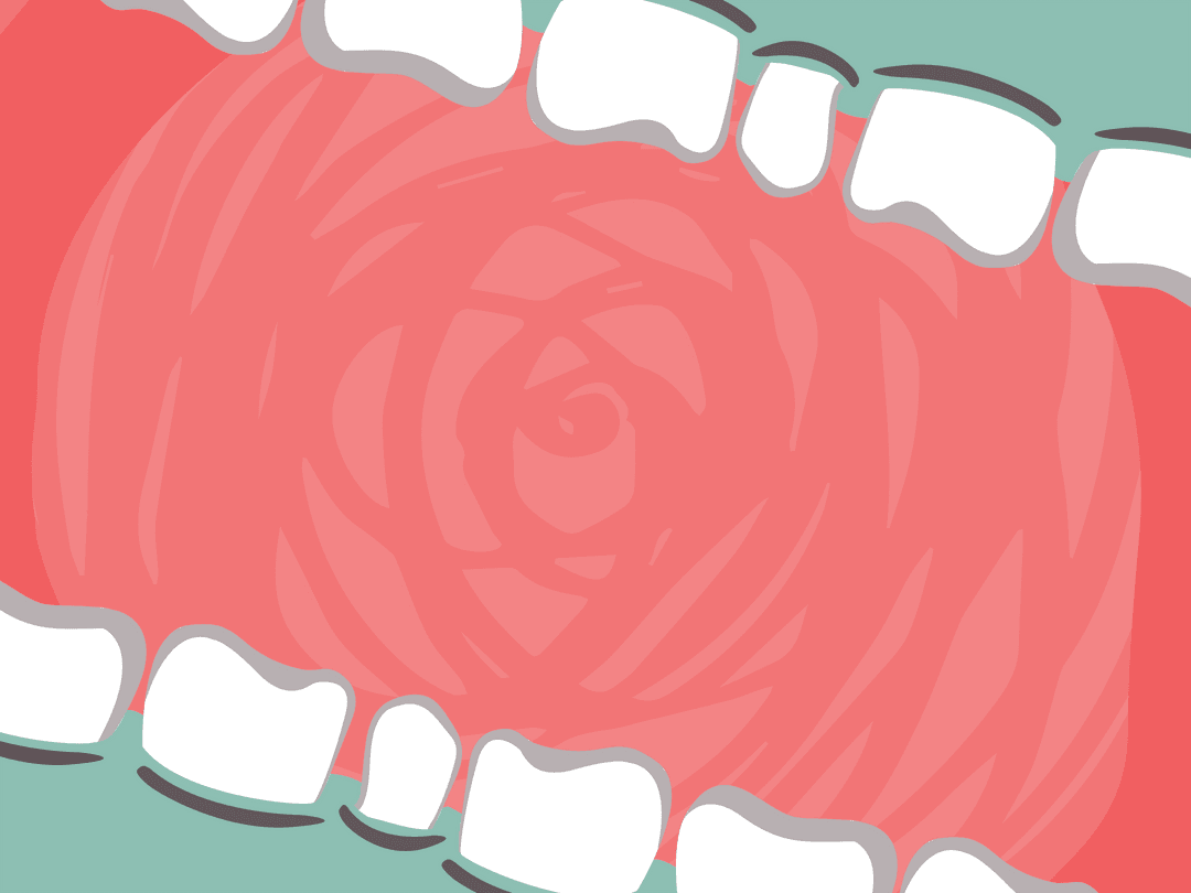 Colorful Transparent Tooth Vector Illustration