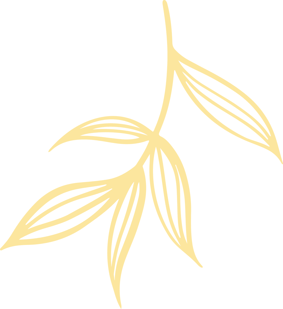 Transparent Abstract Branch with Linear Leaves for Modern Design