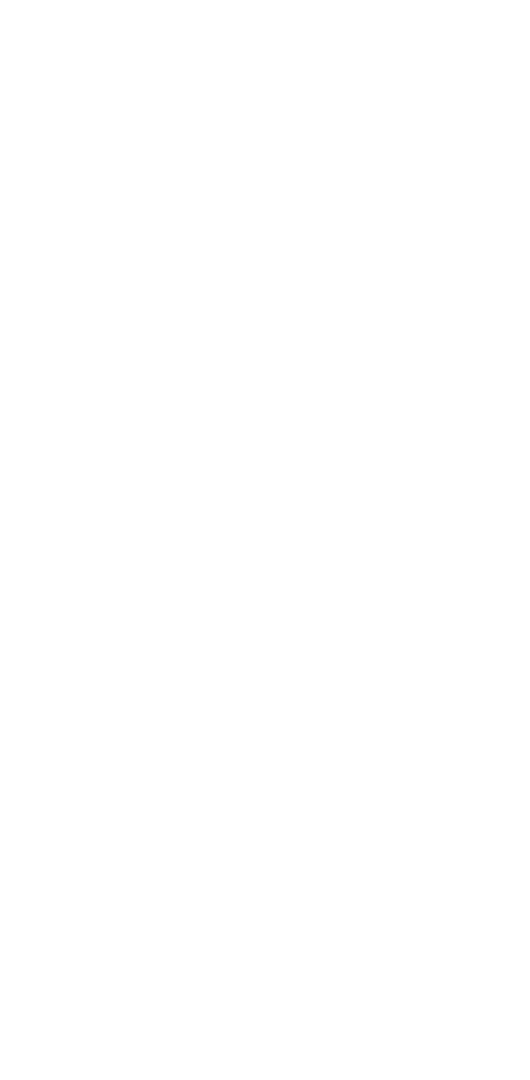 Transparent Silhouette of Female Tennis Player Play - Download Free Stock Images Pikwizard.com