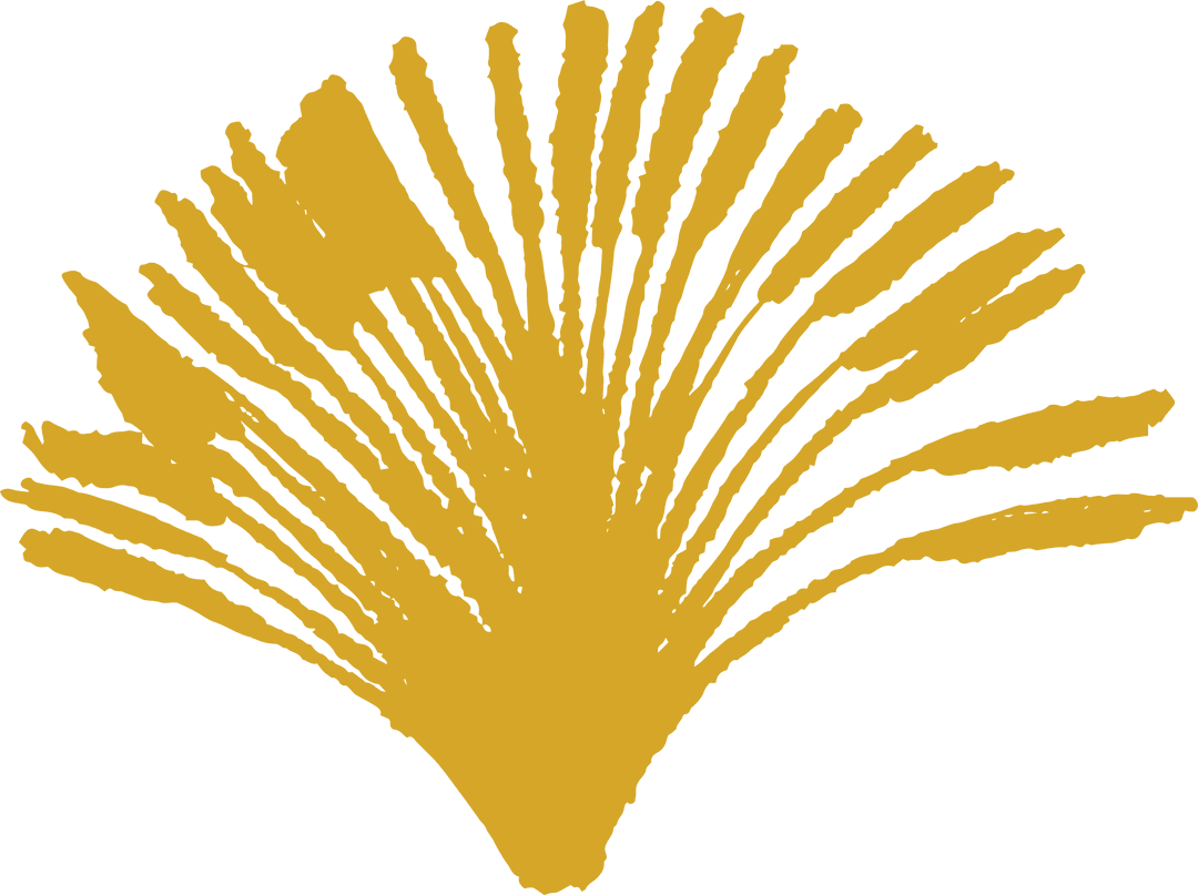 Radiating Golden Fan Shape on Transparent Background