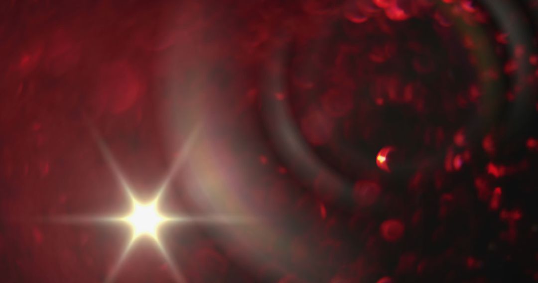 Vibrant Red Petals With Lens Flare and Bright Light