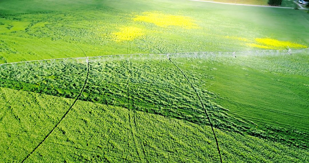 Aerial View of Agricultural Sprinkler System in Green Field - Free Images, Stock Photos and Pictures on Pikwizard.com