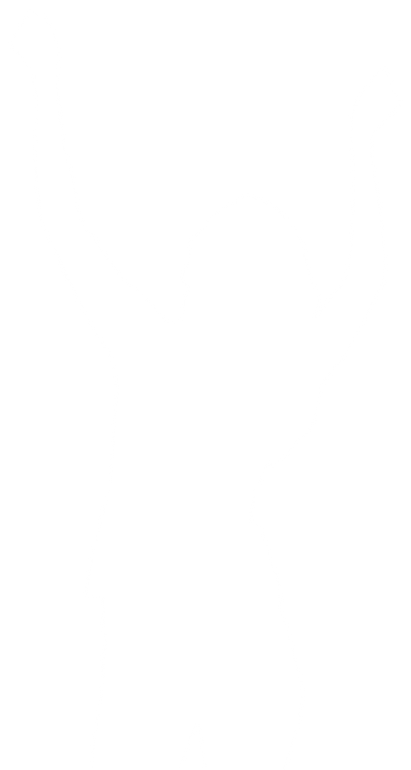 Transparent PNG Silhouette of Woman Cheering with Arms Up - Download Free Stock Images Pikwizard.com