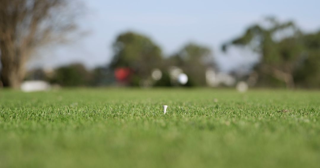 Golf Tee Inserted on Green Grass Field on Clear Day - Free Images, Stock Photos and Pictures on Pikwizard.com