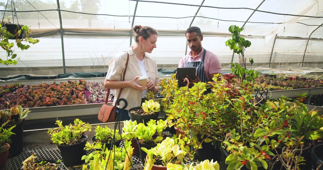 Nursery Employe Assists Customer with Plant Selection in Greenhouse
