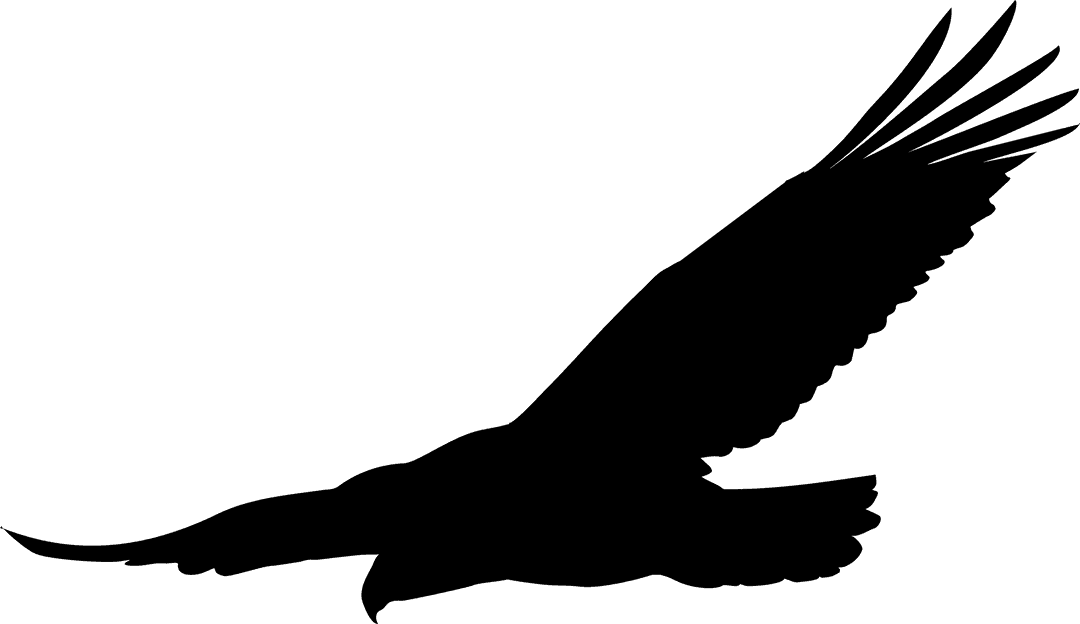 Flying Raptor Silhouette with Outstretched Wings
