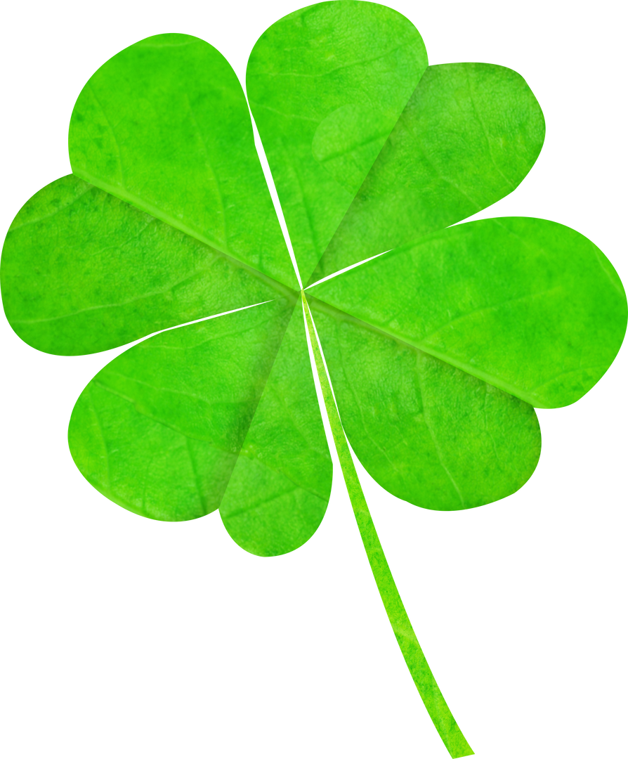 Transparent Four Leaf Clover for Luck and Success Designs - Download Free Stock Images Pikwizard.com