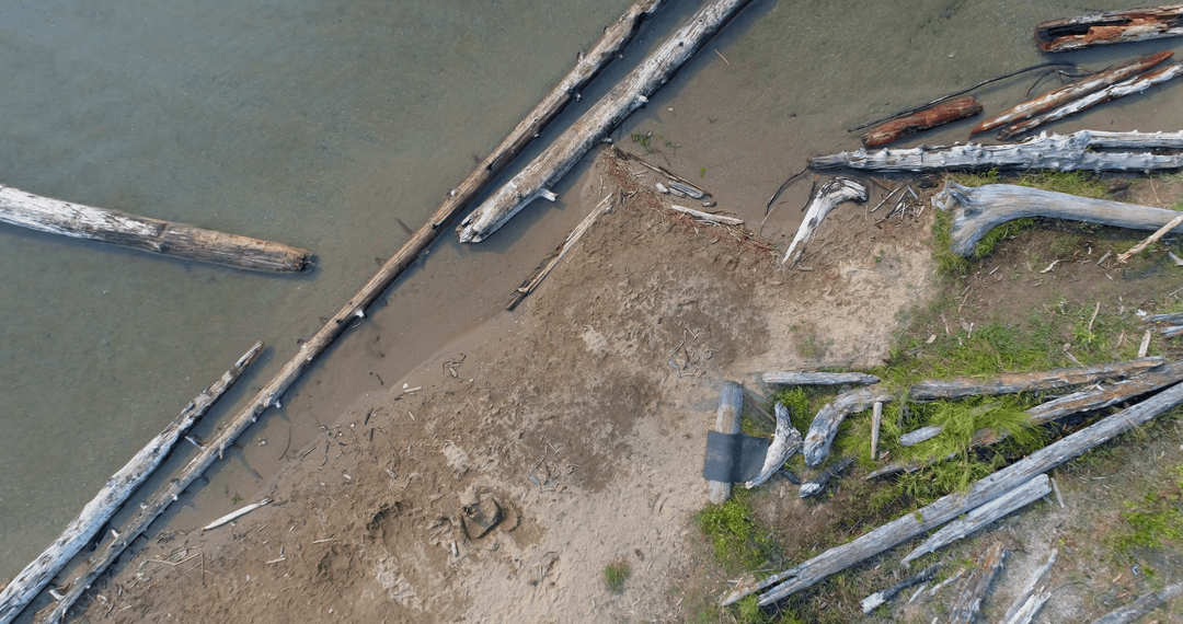 Transparent Riverbank with Logs and Driftwood from Above