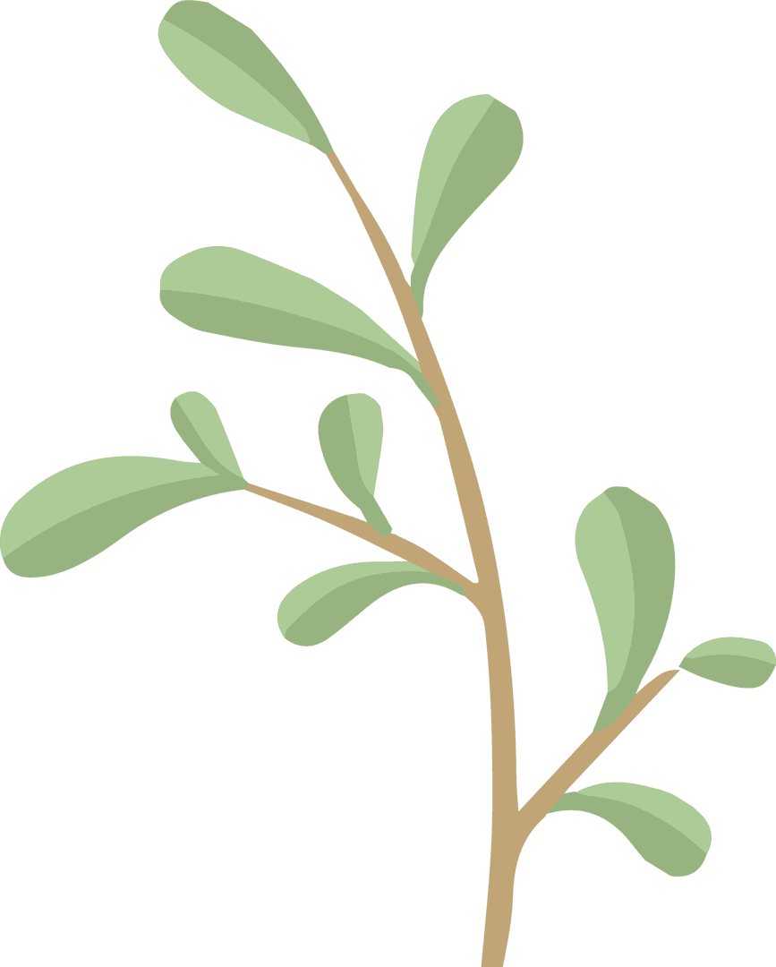 Transparent Leafy Branch Illustration with Minimalistic Design