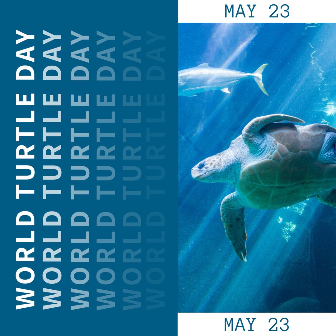 World Turtle Day Celebration Underwater with Ocean Turtle