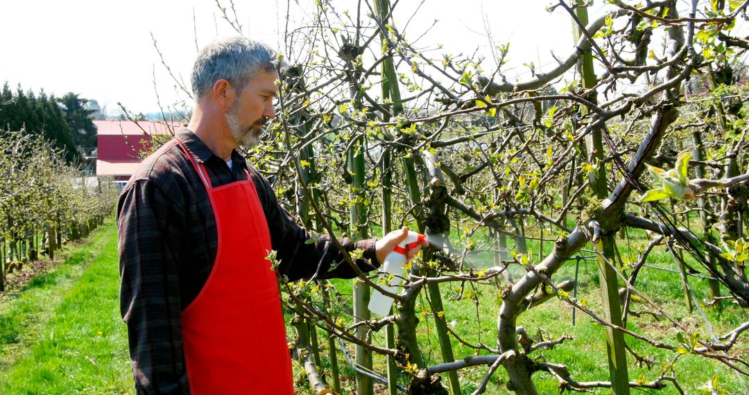 Man Spraying Orchard Trees for Healthy Harvest in Springtime