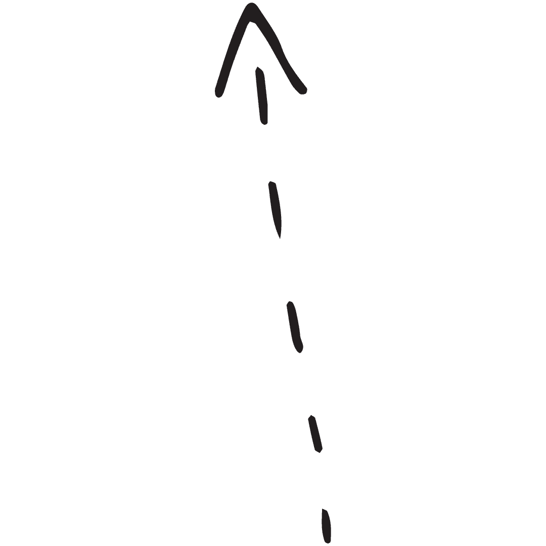 Dashed Black Upward Arrow on Transparent Background for Directional Themes