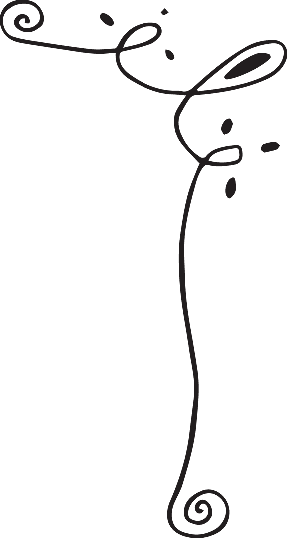 Elegant Black Curved Line Design Transparent Illustration - Download Free Stock Images Pikwizard.com