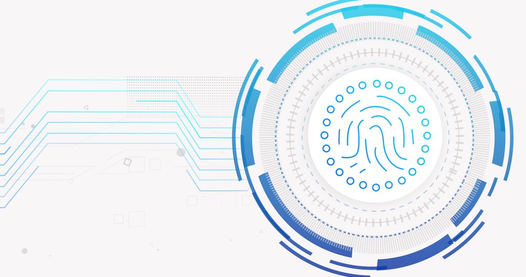 Digital Fingerprint and Network Connections: Cybersecurity Interface