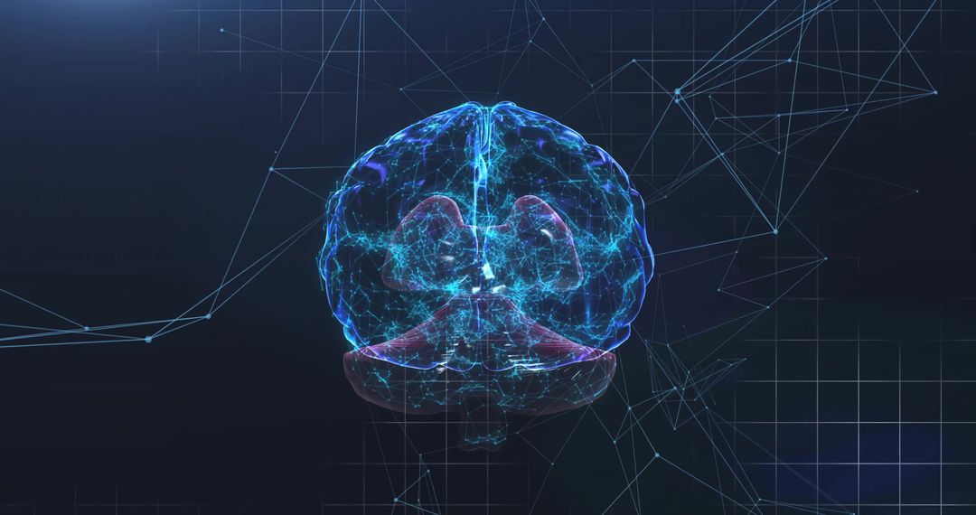 Digital Rendering of Human Brain with Data Visualizations - Free Images, Stock Photos and Pictures on Pikwizard.com