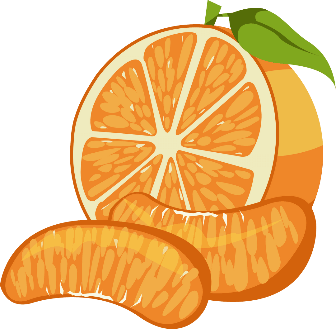 Citrus Orange Half Slice and Green Leaf on Transparent Background