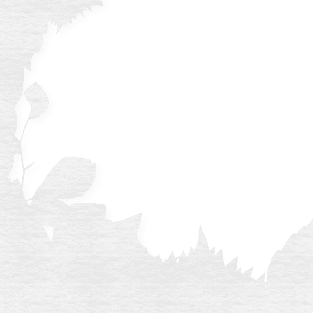 Digital Illustration of Grey Plant Silhouette on Transparent Background