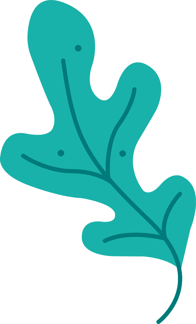 Stylized Green Leaf with Vein on Transparent Background