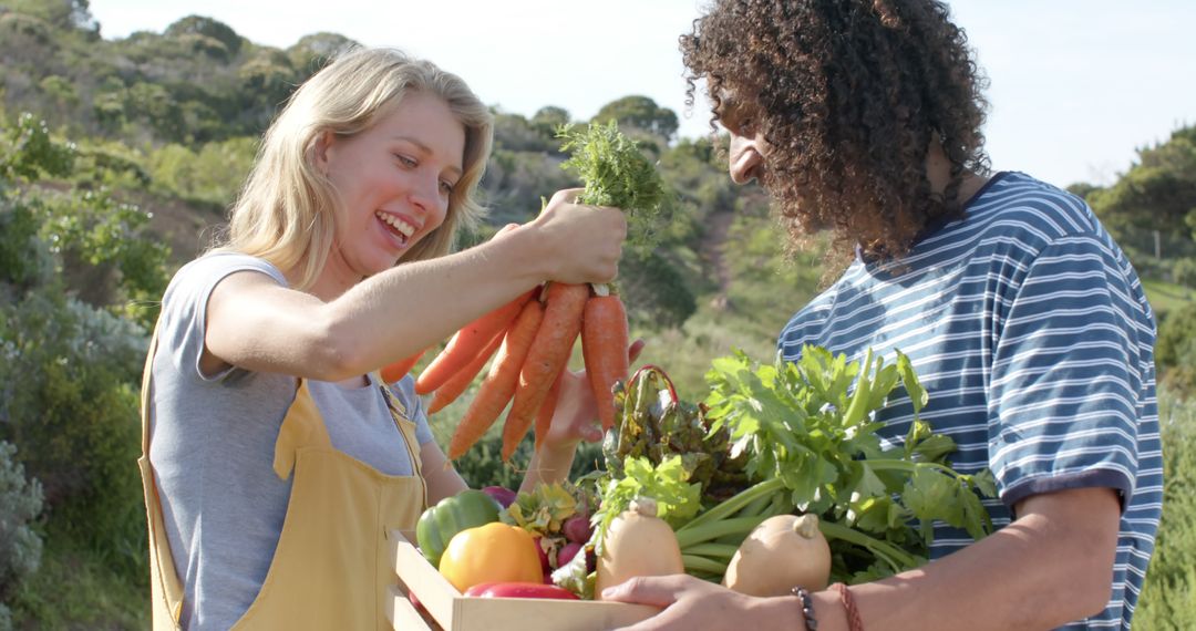 Two Farmers Harvesting Fresh Organic Vegetables in Countryside - Free Images, Stock Photos and Pictures on Pikwizard.com