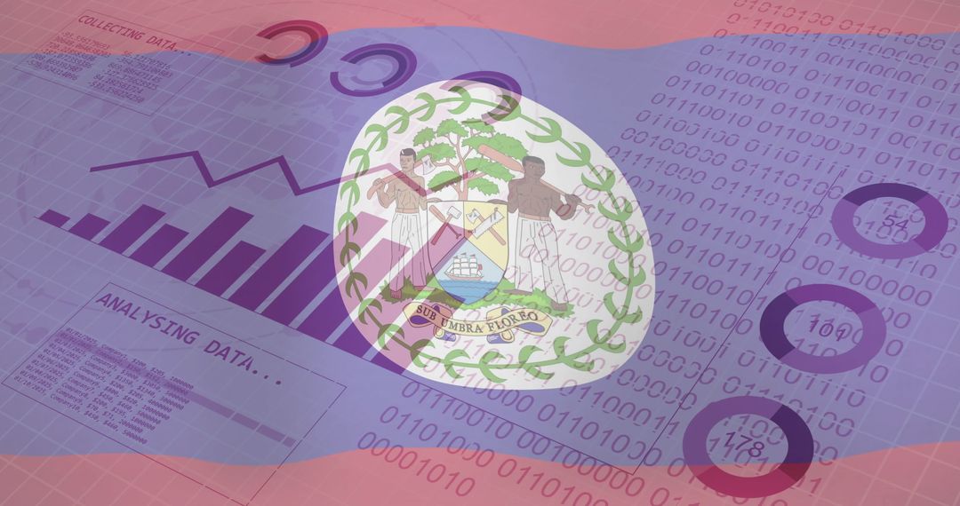 Data Analysis with Belize Flag and Binary Code Background