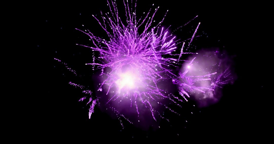Vibrant Violet Fireworks Illuminate Night Sky