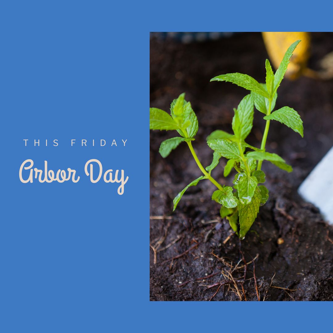 Close-Up of Young Plant in Soil for Arbor Day Celebration - Download Free Stock Templates Pikwizard.com