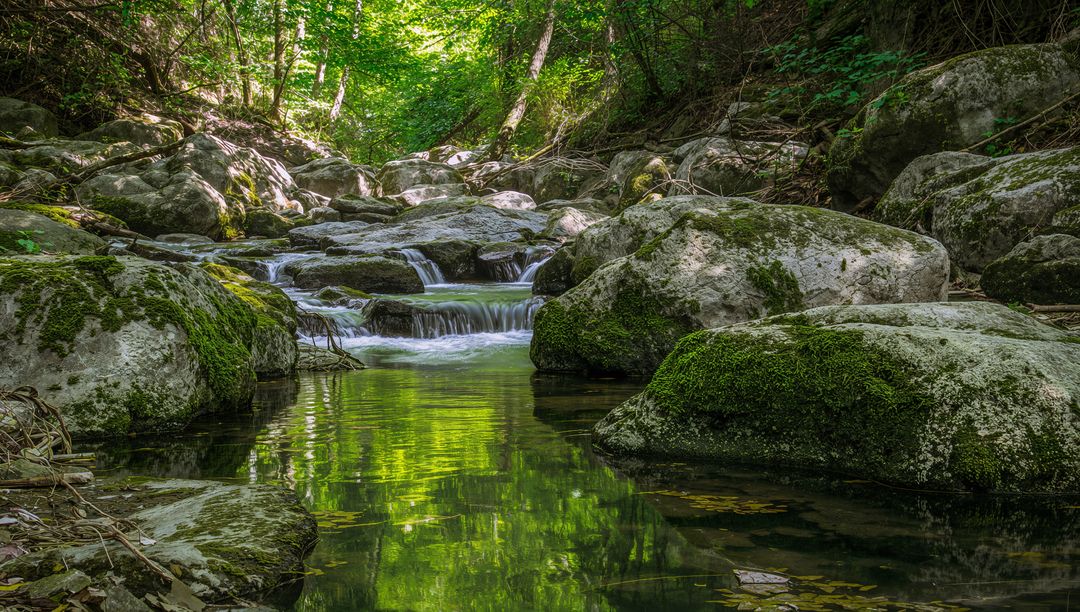 Moss-Covered Boulders and Shallow Stream Reflecting Lush Green Canopy in Forest Ravine