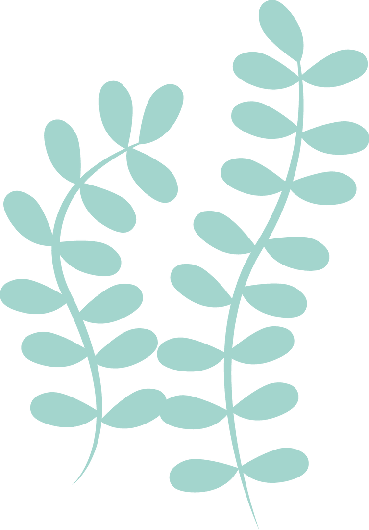 Teal Fern Fronds Silhouette on Transparent Background Illustration