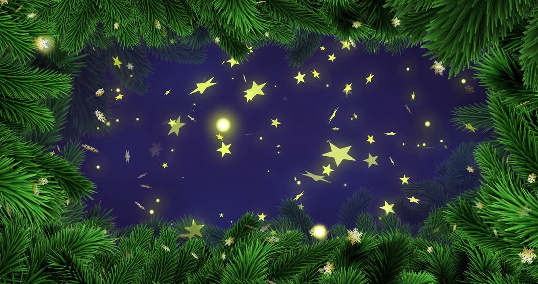 Enchanted Night Sky with Stars and Fir Branches Holiday Scene
