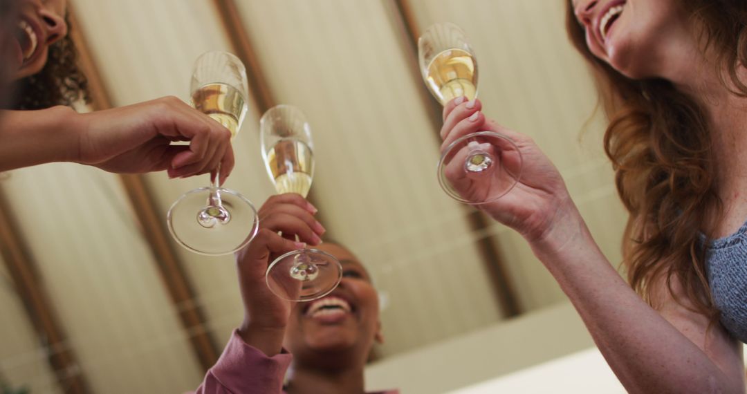 Group of Women Toasting with Champagne at Celebration - Free Images, Stock Photos and Pictures on Pikwizard.com