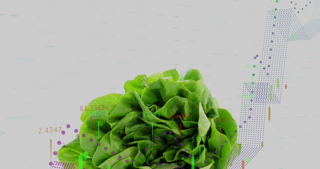 Vibrant Butterhead Lettuce with Financial Data Overlay