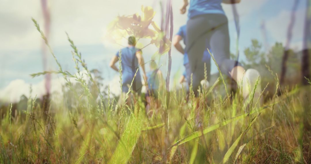 Diverse Runners in Action Through Grass and Nature Scene