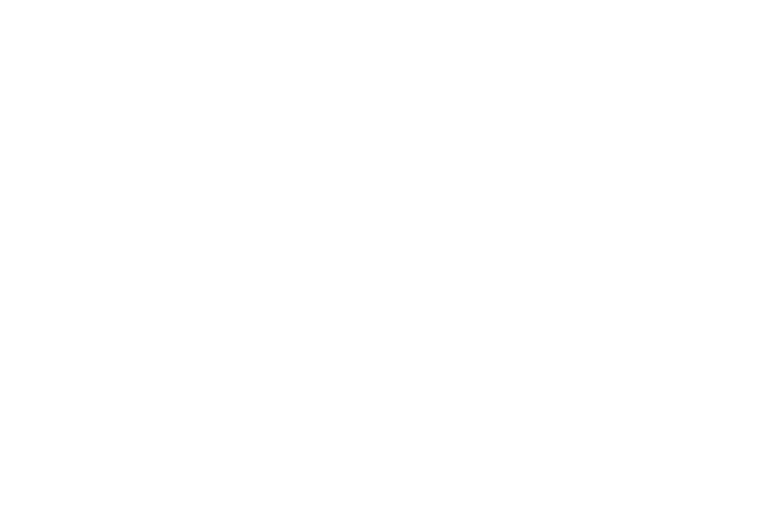 Seamless Pattern of White Flowers on Transparent Background