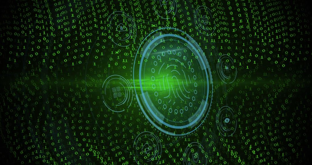 Digital Fingerprint and Data Processing Overlay Visualization