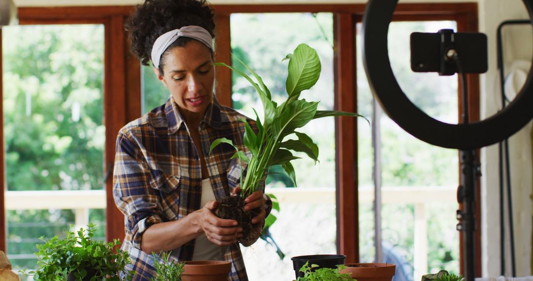 Biracial female vlogger transplanting plants in pot and recording on smartphone at home - Free Images, Stock Photos and Pictures on Pikwizard.com