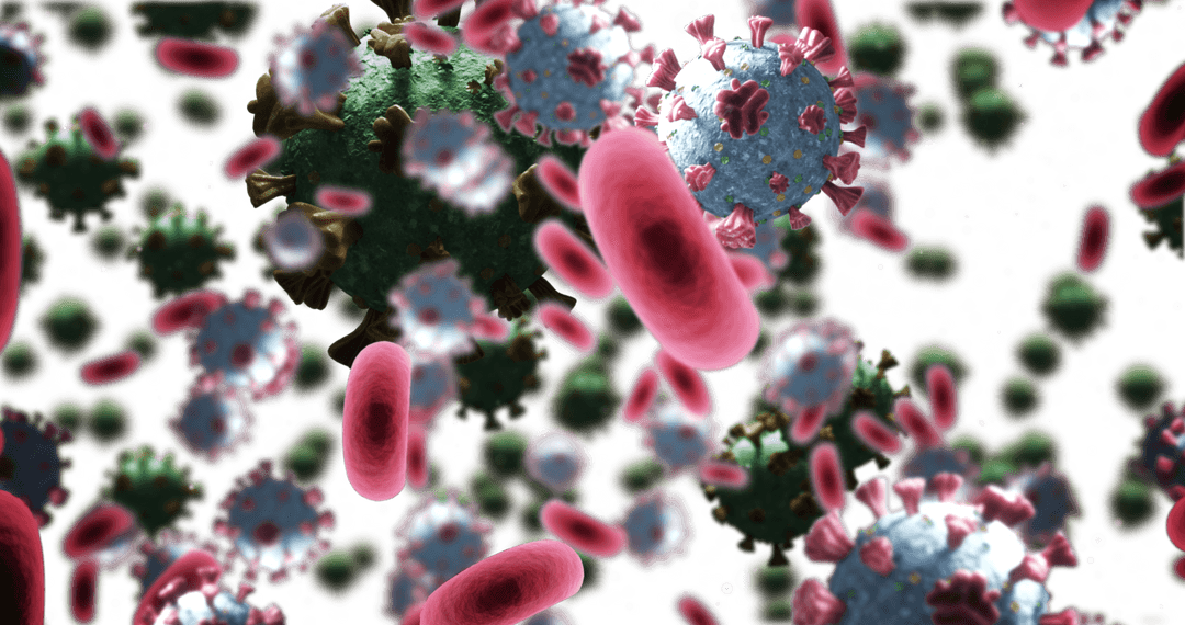 Transparent Floating Covid-19 Cells and Red Blood Cells Interaction