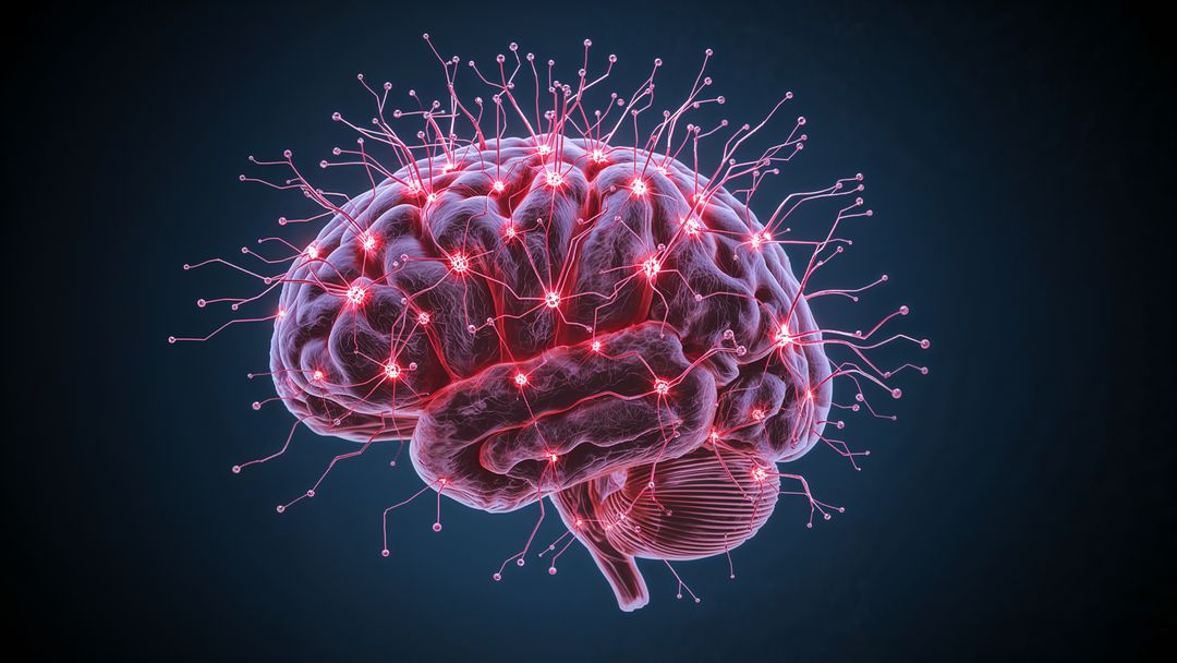 Futuristic Neural Pathway Network Displaying Human Brain Connectivity